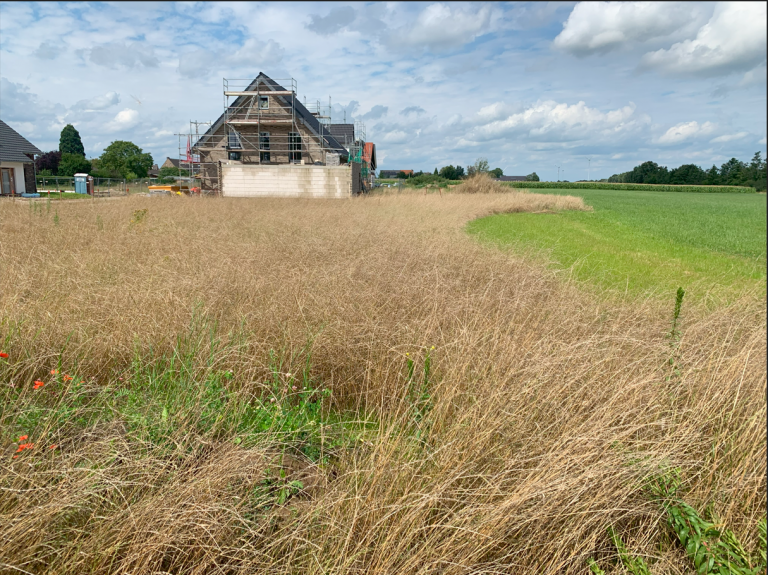 van Bebber Immobilien Xanten-Vynen